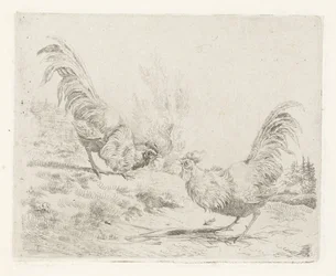 Two Fighting Roosters