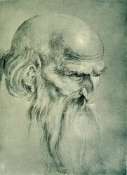 Apostle Head