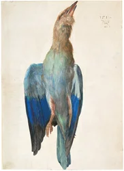 Dead Bluebird