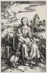 The Madonna with the Monkey