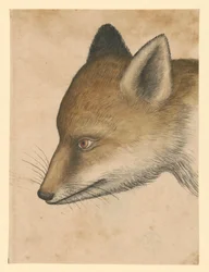 Fox Head, Facing Left