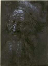 Head of a 93-year-old Man
