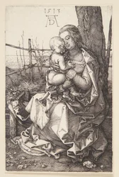 Madonna Nursing