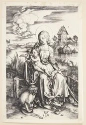 Madonna with the Monkey