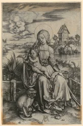 Mary with the Marmoset