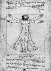 Proportions of the Human Figure, c1492, 1936