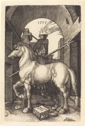 Small Horse