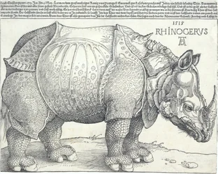 The Rhinoceros, 1515