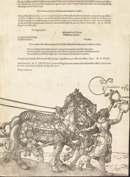 The Triumphal Chariot of Maximilian I The Great Triumphal Car (plate 8 of 8)
