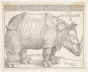The Rhinoceros