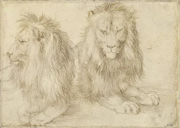 Two Seated Lions