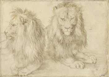 Two Seated Lions, 1521