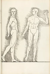 Anatomical woodcut from Hierinn sind begriffen vier Bücher von menschlicher Proportion, 1528
