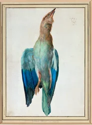 Blue Roller