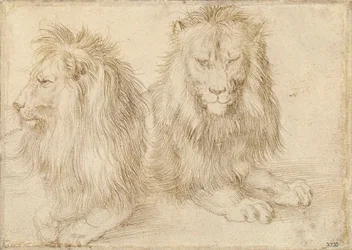 Two Seated Lions