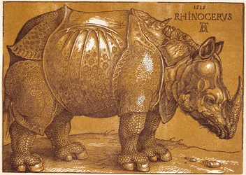 The Rhinoceros