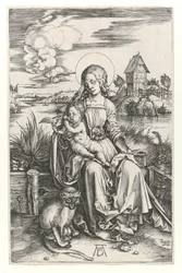 The Virgin with the monkey, c.1498
