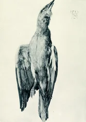 The dead blue roller