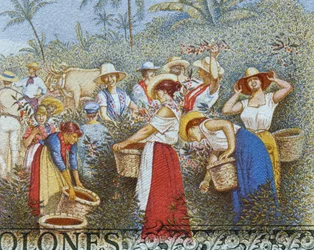 5 Colones Banknote