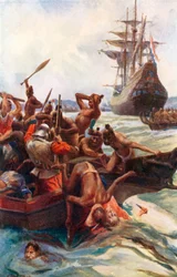 Tasman