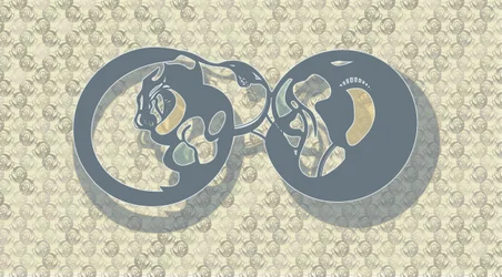 Abstract Feline Infinity
