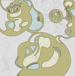 Fluid Organic Forms