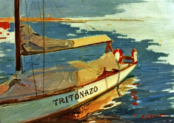 Marina with Boat