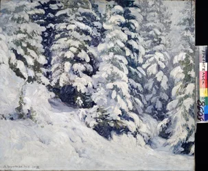Forest in Winter