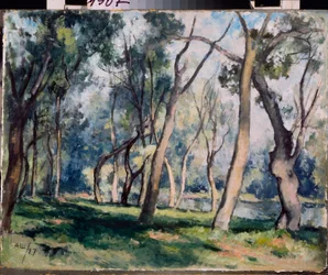 A Grove