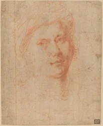 Head of a Youth