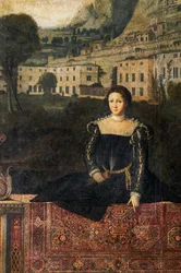 Portrait of a noblewoman (detail)