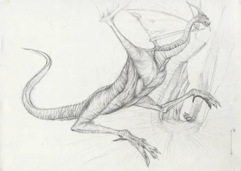 A Dragon (Pencil Sketch)