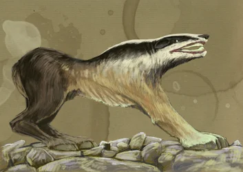 Representation of a Crocotta, Mythical Wolf Dog from India or Ethiopia