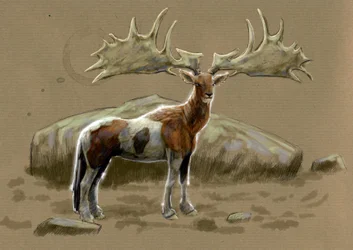 Fantastic Monsters and Creatures, Cryptozoology: Representation of a Hippocerf