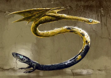 Representation of an Amphisbene