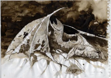 Illustration of a fantastic and legendary animal: dead dragon carcass