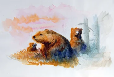Natural Bear Family