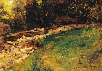 The creek