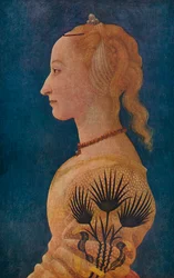 Portrait of a Lady