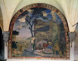 The Nativity