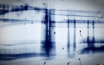 Snow (X-ray), 2019