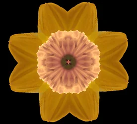 Symmetry