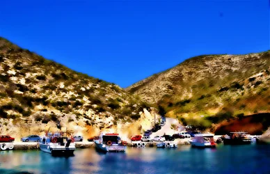 Dock