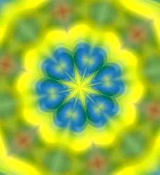 Flowers #62