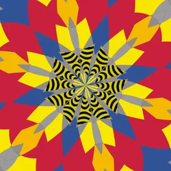 Symmetry #6