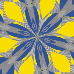 Symmetry #8