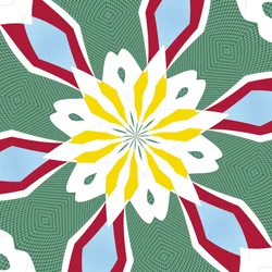 Water lily