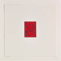 Red Bits on White