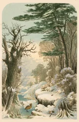 Illustration for Longfellow