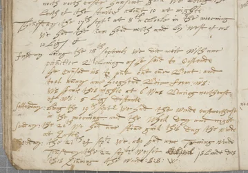 Journal of Alexander Gillespie, Detail